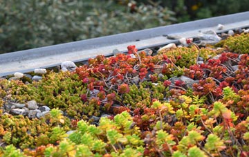 the cost of Manor Powis green roof installation