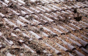 Manor Powis roof cleaning companies